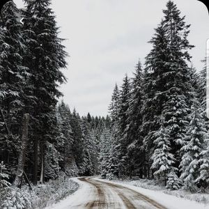 Meet your Posher, Denice